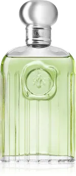 Giorgio eau de toilette voor mannen 118 ml