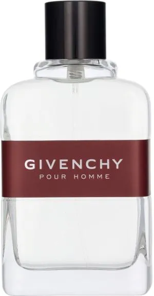 Givenchy Pour Homme eau de toilette voor mannen 100 ml