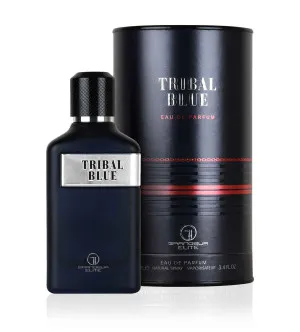 Grandeur Tribal Blue eau de parfum voor heren 100 ml