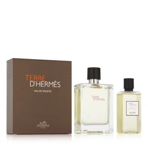 Hermes Terre D'Hermès eau de toilette voor heren 100 ml + douchegel