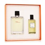 Terre D'Hermès eau de toilette voor heren 100 ml + douchegel 80 ml