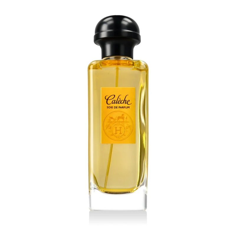 Calèche Soie de EDP parfum voor dames 100 ml