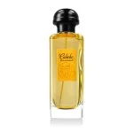 Calèche Soie de EDP parfum voor dames 100 ml