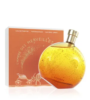Hermes L'Ambre des Merveilles eau de parfum 100 ml voor dames