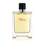 Terre d'Hermes Parfum eau de parfum voor mannen 75 ml