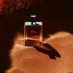 Terre d'Hermes eau de toilette voor mannen 50 ml