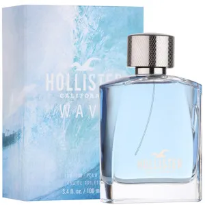 Hollister Wave For Him eau de toilette 100 ml voor mannen