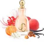 I Want Choo eau de parfum voor dames 100 ml