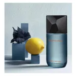 Fusion D'Issey eau de toilette 100 ml voor mannen