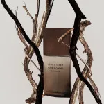 L'Eau d'Issey Pour Homme Wood&Wood eau de parfum voor mannen 100 ml