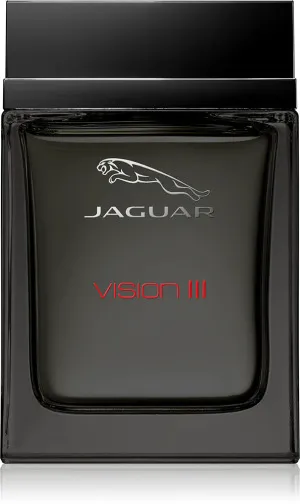 Jaguar Vision III eau de toilette voor mannen 100 ml