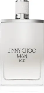 Man Ice eau de toilette voor mannen 100 ml