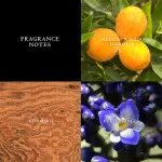 Artisan eau de toilette voor mannen 125 ml