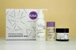 Kvitok Lavendel Dream geschenkpakket - douche, deodorant en bodycrème