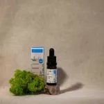 Kvitok Gezichtsserum - Groene thee (10 ml) - anti-oxidant en anti-inflammatoire effecten