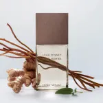 L'Eau d'Issey Pour Homme Vétiver Intense eau de toilette voor heren 100 ml