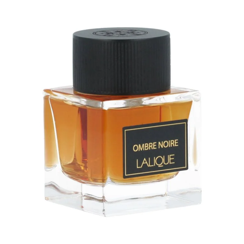 Ombre Noire eau de parfum voor mannen 100 ml