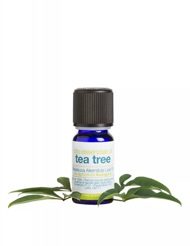 laSaponaria Etherische olie - BIO tea tree (10 ml)