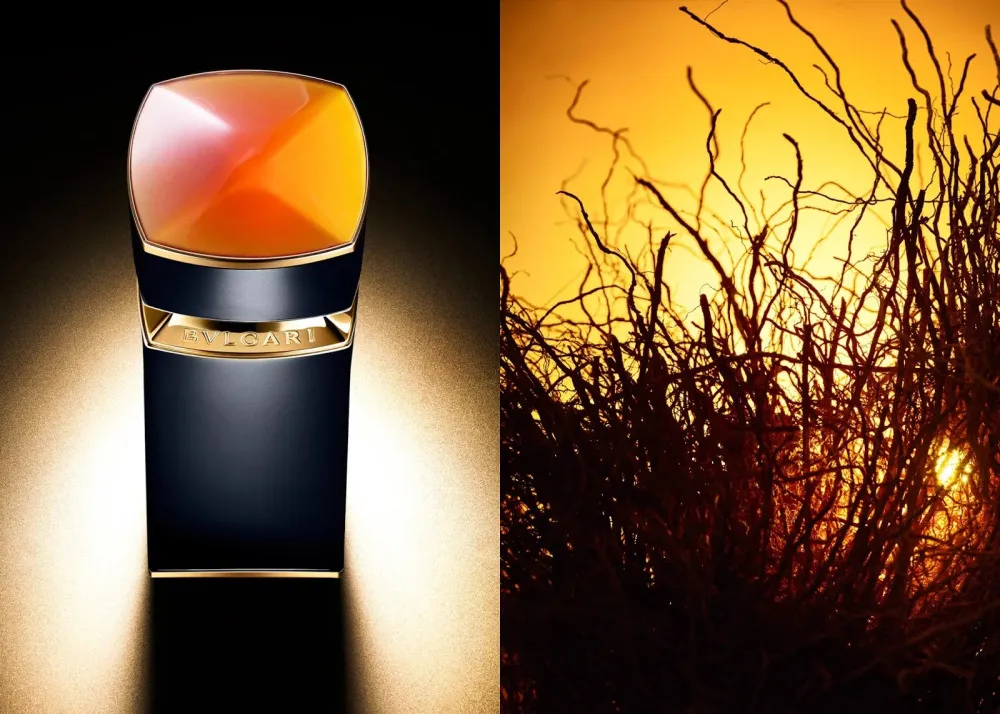 Le Gemme Ambero eau de parfum voor heren 100 ml