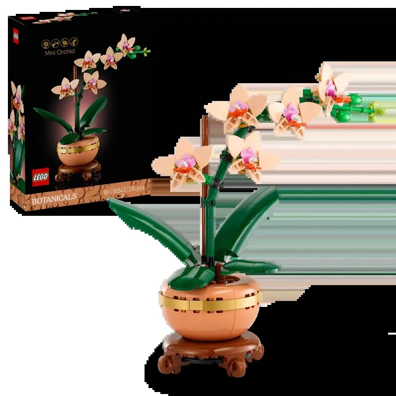 Botanicals 10343 Miniatuurorchidee