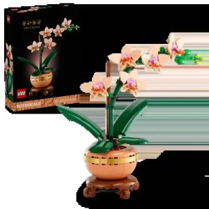 LEGO® Botanicals 10343 Miniatuurorchidee
