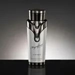 Magnificent Pour Homme eau de parfum voor heren 100 ml