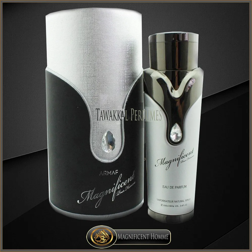 Magnificent Pour Homme eau de parfum voor heren 100 ml