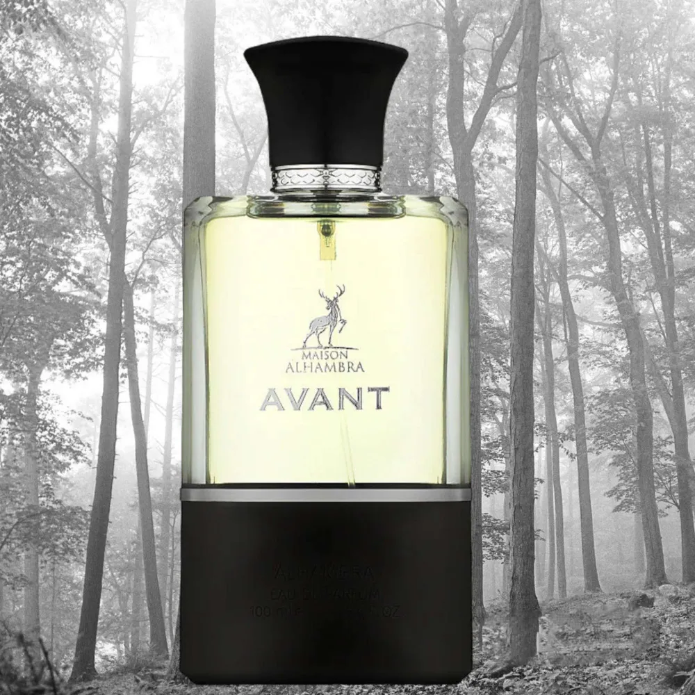 Avant eau de parfum voor mannen 100 ml
