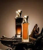 Vanilla Seduction Eau de Parfum voor Dames 100 ml