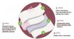 Organyc Biologisch katoenen menstruatieslip - ultra-absorberend L