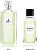 Monsieur de Givenchy eau de toilette voor heren 100 ml
