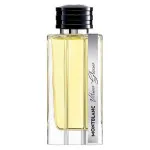 Vetiver Glacier eau de parfum voor mannen 125 ml