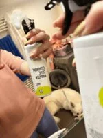 Natasha Citroen badkamerreiniger - spray (500 ml) - geschikt voor huishoudens met hard water