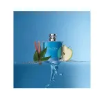 Voyage eau de toilette voor mannen 100 ml