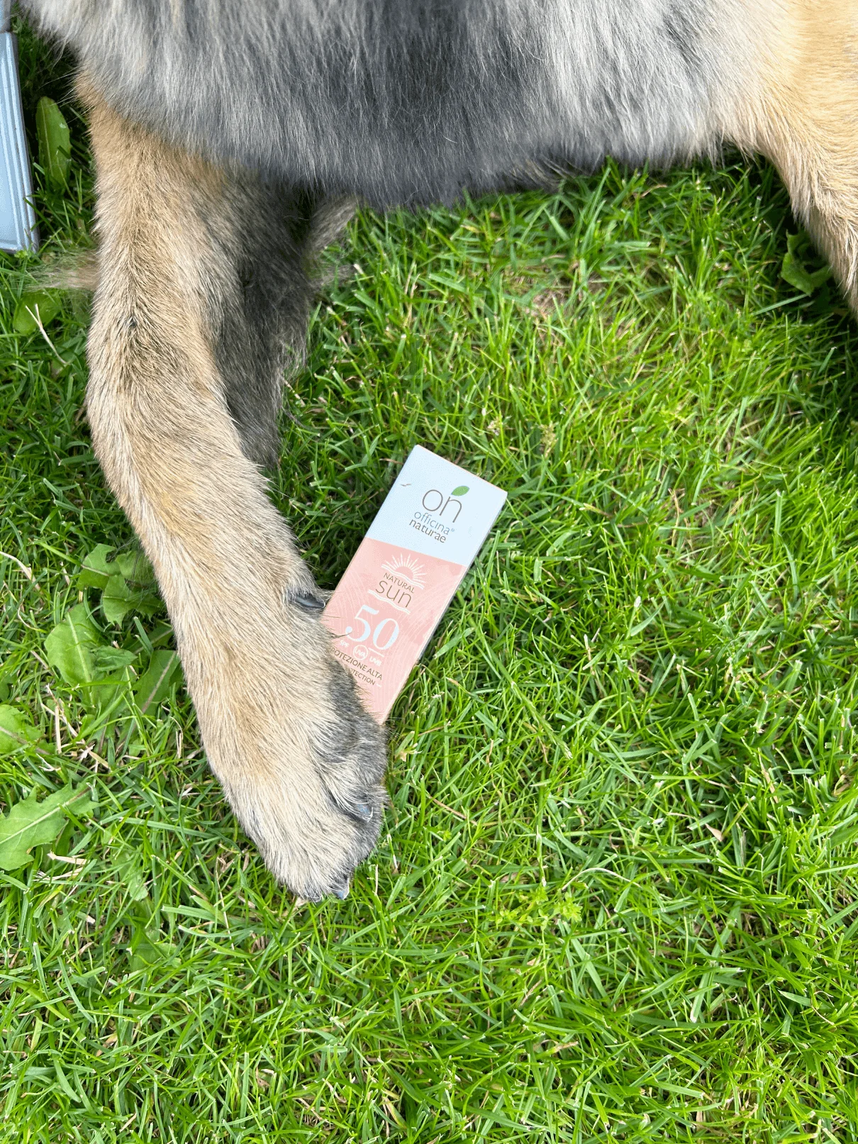 Officina Naturae Zonnecrème voor het gezicht SPF 50 - verstevigend (30 ml) - voor alle huidtypen
