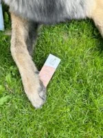Officina Naturae Zonnecrème voor het gezicht SPF 50 - verstevigend (30 ml) - voor alle huidtypen