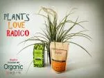 Radico Natuurlijke haarverf BIO (100 g) - bordeauxrood - voor gezondheid, glans en kracht