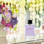 Daarej Pour Femme eau de parfum voor dames 100 ml