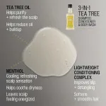 3-in-1 Tea Tree shampoo-conditioner-douchegel shampoo voor mannen 3-in-1 voor mannen 350 ml