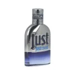Just Cavalli Him 2013 eau de toilette voor heren 30 ml