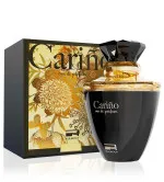 Rue Broca Carino Pour Homme eau de parfum voor mannen 100 ml