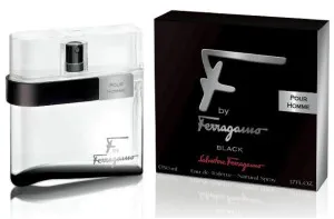 Salvatore Ferragamo F by Ferragamo Black eau de toilette voor mannen 100 ml