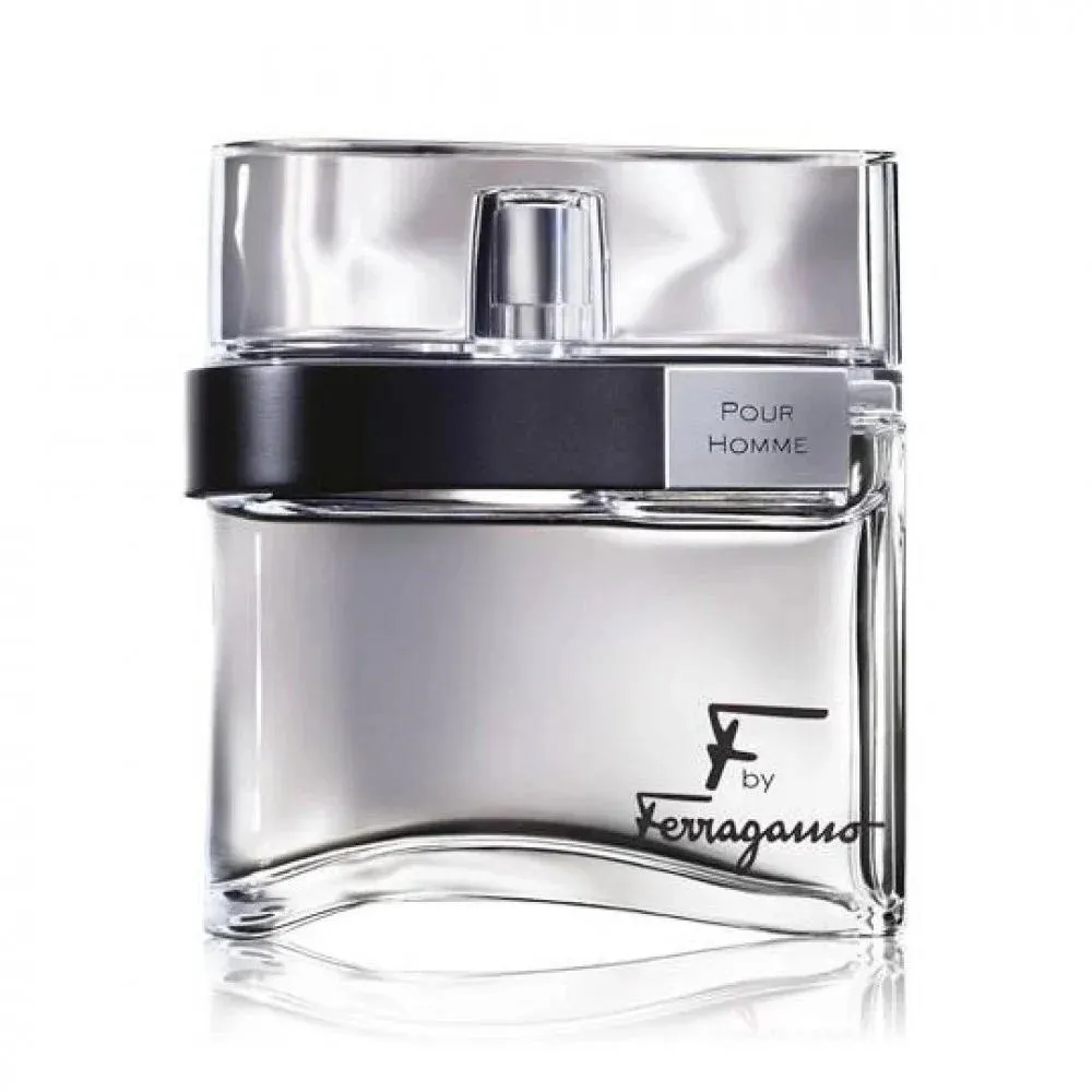 F by Ferragamo Black eau de toilette voor mannen 100 ml