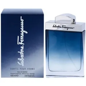 Salvatore Ferragamo Subtil Pour Homme eau de toilette voor heren 100 ml