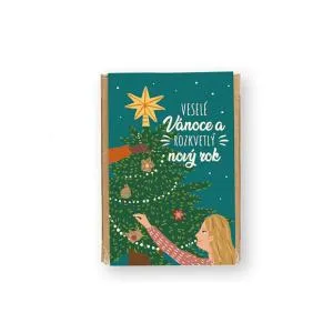 Blossombs Zaadbommen - Mini Geschenkset - Magische Kerstmis (4 stuks)