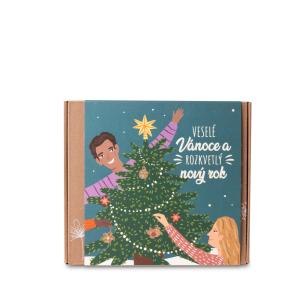 Zaadbommen - Medium Geschenkset - Vrolijk Kerstfeest (9 stuks)