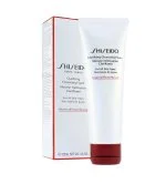 Zuiverend Reinigingsschuim 125 ml