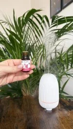 Taoasis Baldini Aromaset All the Love BIO (5 ml) - harmoniserende geur met stenen diffuser