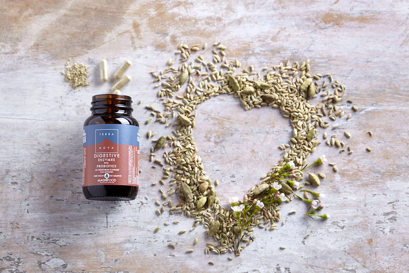 Terranova Health Spijsverteringsenzymen & probiotica (50 capsules) - verrijkt met venkel, gember en kliswortel