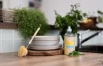 Tierra Verde Afwasgel - BIO zoete munt 100 ml